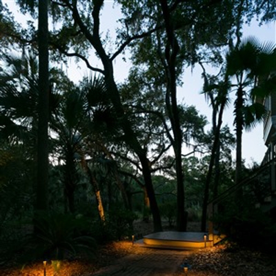 Backyard Lighting Photo